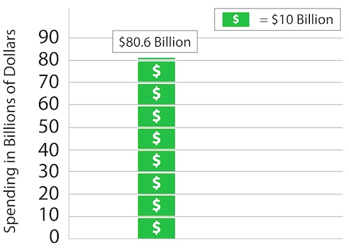 Bar chart illustrating Total Public IDD Spending for Services in the United States for fiscal year 2021. X axis is blank. Y axis represents spending in billions of dollars. Graph shows total spending in the form of dollar bill icons, with 1 dollar bill equaling 10 billion dollars. There are eight full dollar bills, and a small partial dollar bill, totaling 80.6 billion dollars.